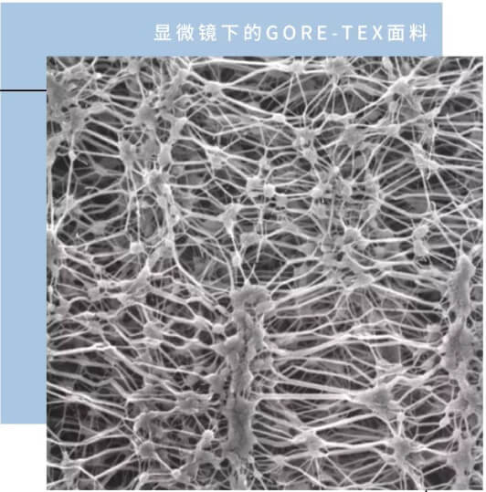 GORE-TEX面料在顯微鏡下的模樣