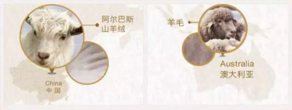羊絨羊毛最好的地方