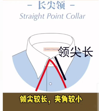 長(cháng)尖領(lǐng)