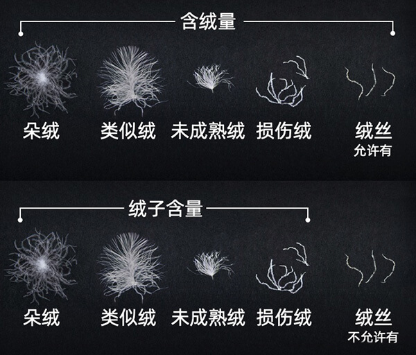 羽絨服絨子含量與含絨量區別