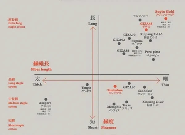 棉花