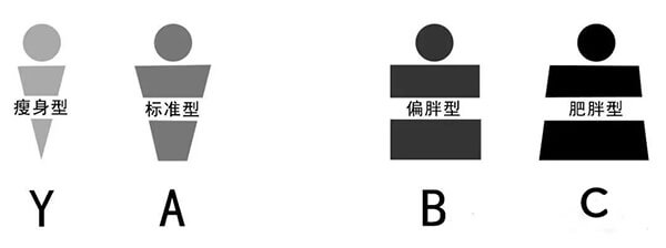 體型