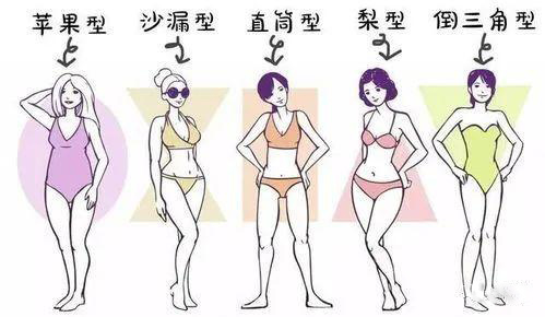 女性身材