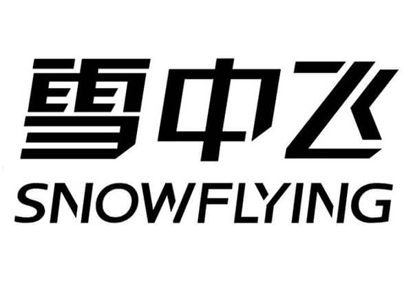 雪中飛